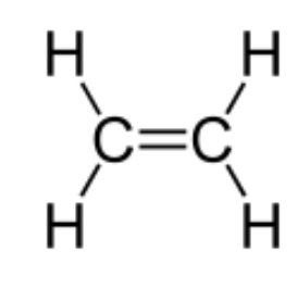 <p>Alkenyl, Alkenes, double bond between Carbons</p>