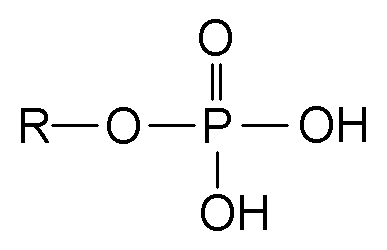 <p>-PO4, a functional group in organic molecules that contributes to energy transfer, such as ATP. </p>