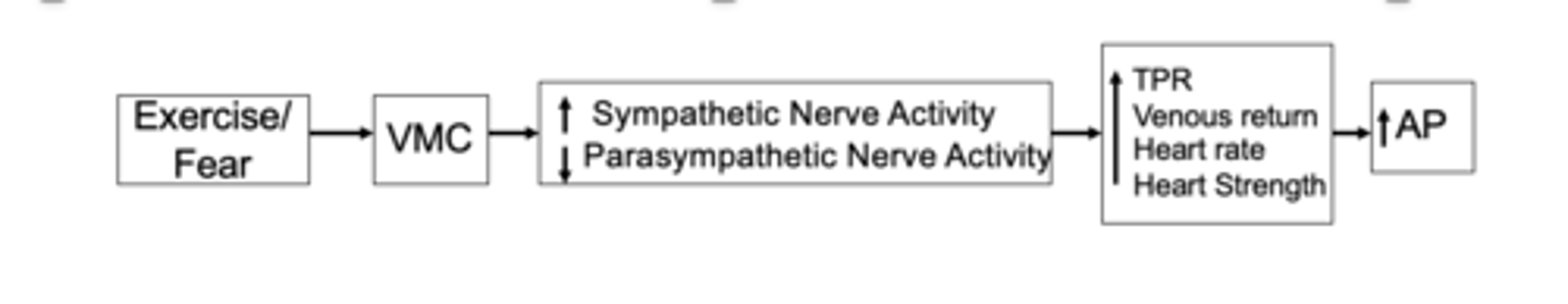 <p>The nervous system via the vasomotor center (VMC) can increase arterial pressure (AP) within seconds by (3). </p>