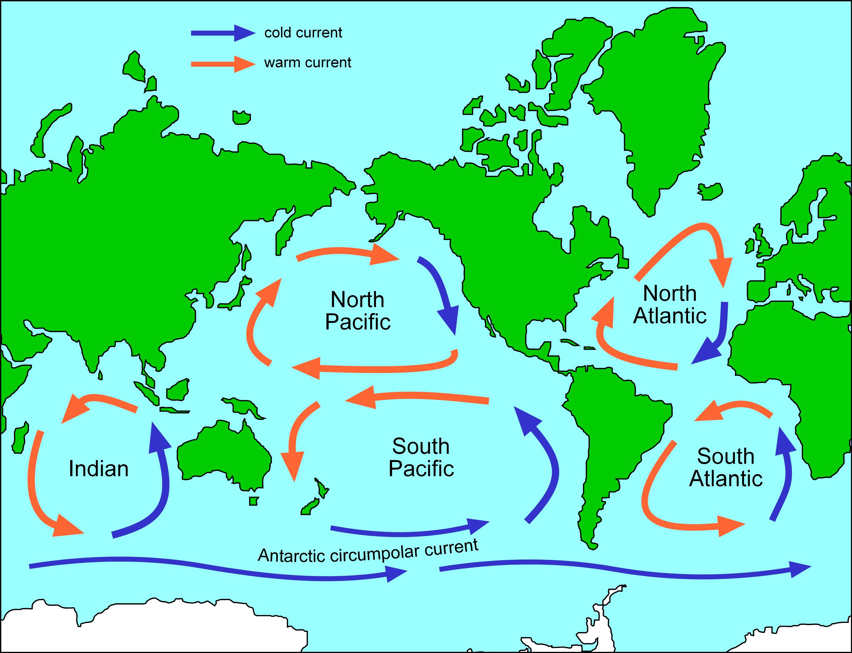 <p><strong>= a large system of rotating ocean currents.</strong></p><ul><li><p><strong>Warm western currents: </strong>Carry solar heat <strong>from the equator to higher latitudes</strong></p></li><li><p><strong>Cold currents:</strong> Flow in the <strong>opposite direction</strong> into eastern sides</p></li></ul><p>Ocean currents are like a thermostat where it warms the pools, cools the tropics and <strong>regulates the climate of our planet.</strong></p><p></p>