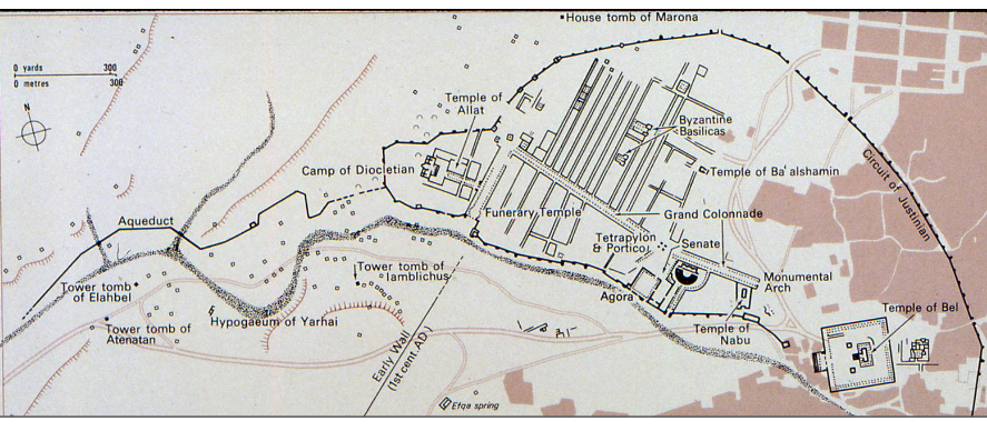 term image