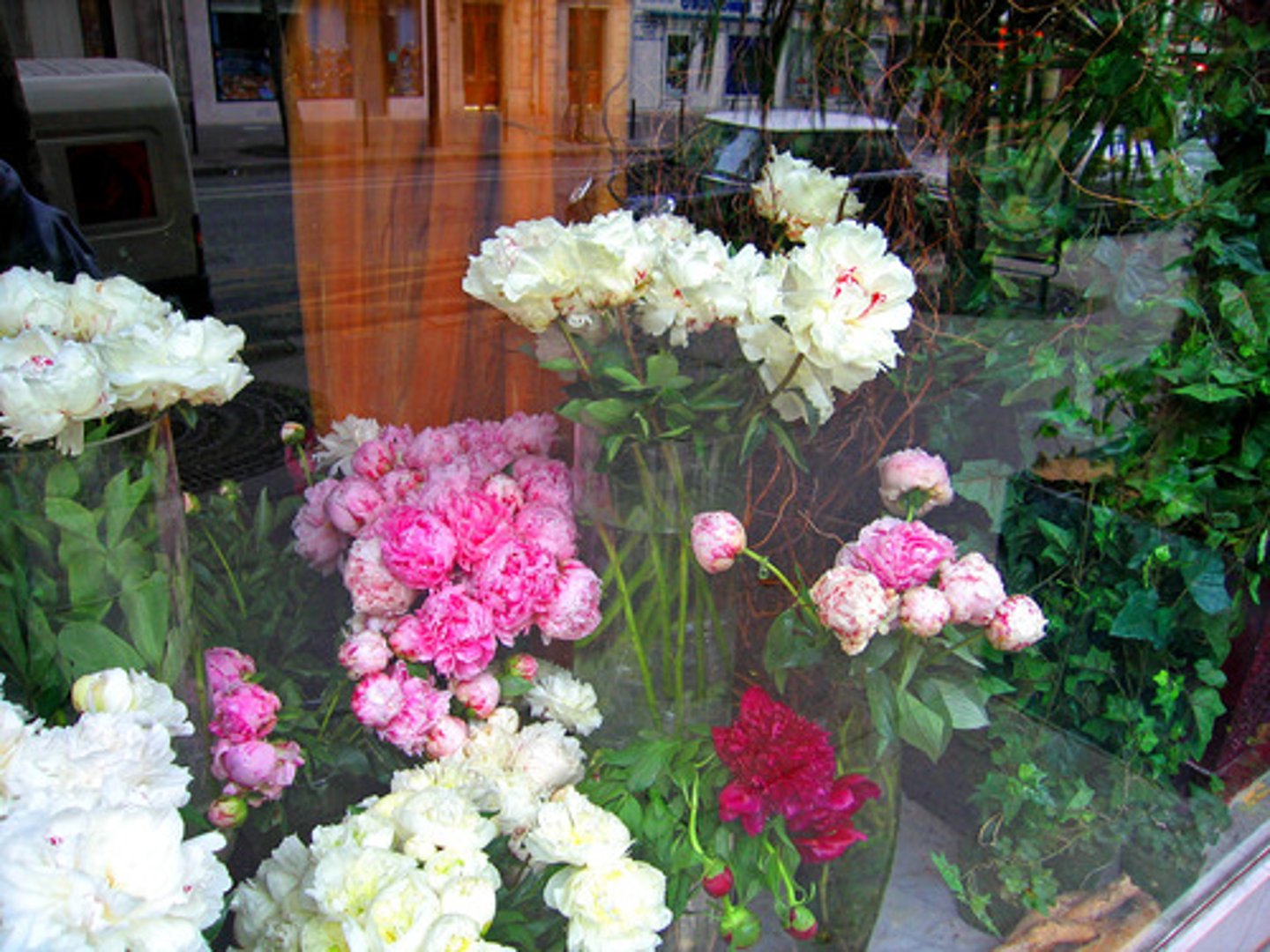 <p>the flower shop</p>
