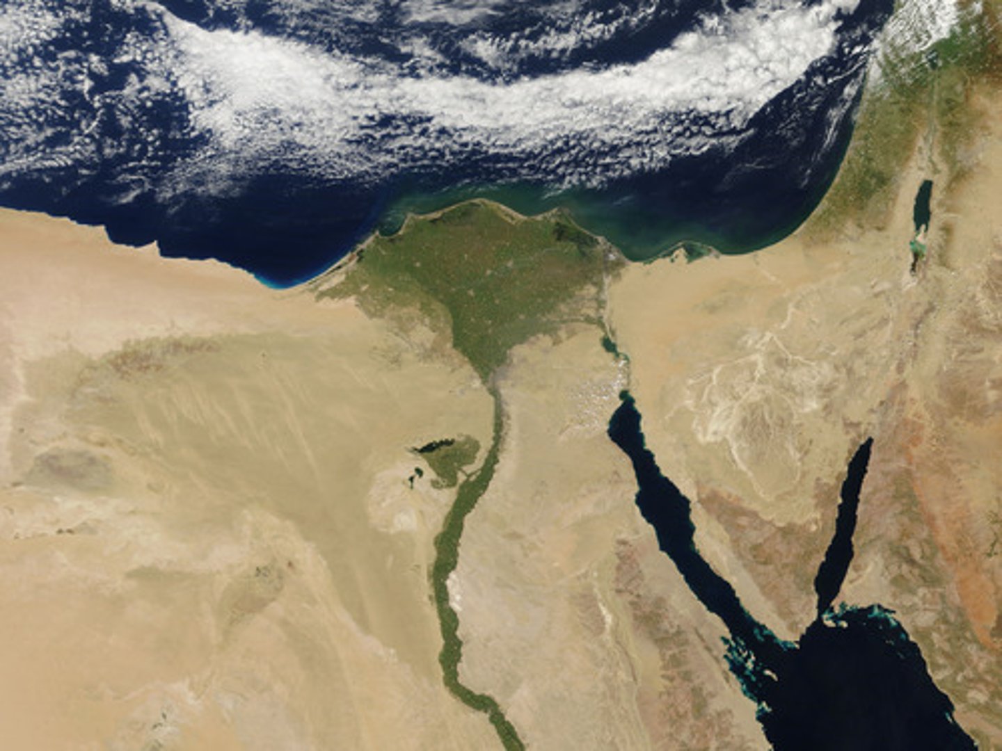<p>first ag revolution: mesopotamia, egypt, indus river</p>