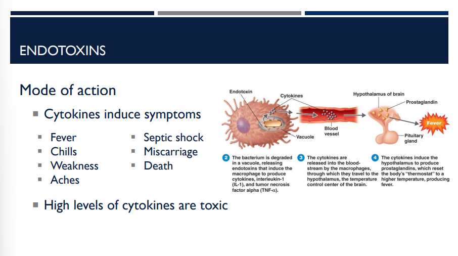 <p>What induces the following symptoms?</p><ul><li><p>Fever</p></li><li><p>Chills</p></li><li><p>Weakness</p></li><li><p>Aches</p></li><li><p>Septic shock</p></li><li><p>Miscarriage</p></li><li><p>Death&nbsp;</p></li></ul><p></p>