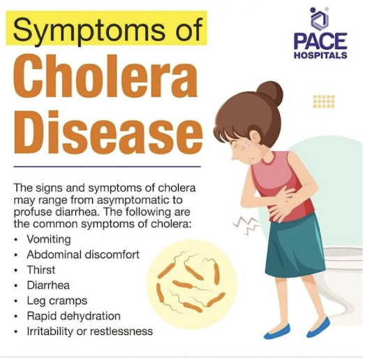 <ul><li><p>bacteria is ingested</p></li><li><p>bacteria colonizes small intestine</p></li><li><p>CT (cholera toxin) is produced</p></li><li><p>CT acts on mucosal cells, leading to diarrhea</p><ul><li><p>rice water stool (flecks of mucosal cells)</p></li><li><p>dehydration, circulatory collapse, death</p></li></ul></li></ul><p></p>