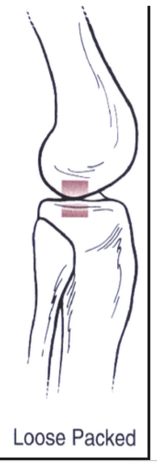 <ul><li><p><strong>Resting position</strong></p></li><li><p>Ligaments and capsule relaxed</p></li><li><p>Max space within joint</p></li><li><p><em>Can be pulled apart by traction </em></p></li></ul><p></p>