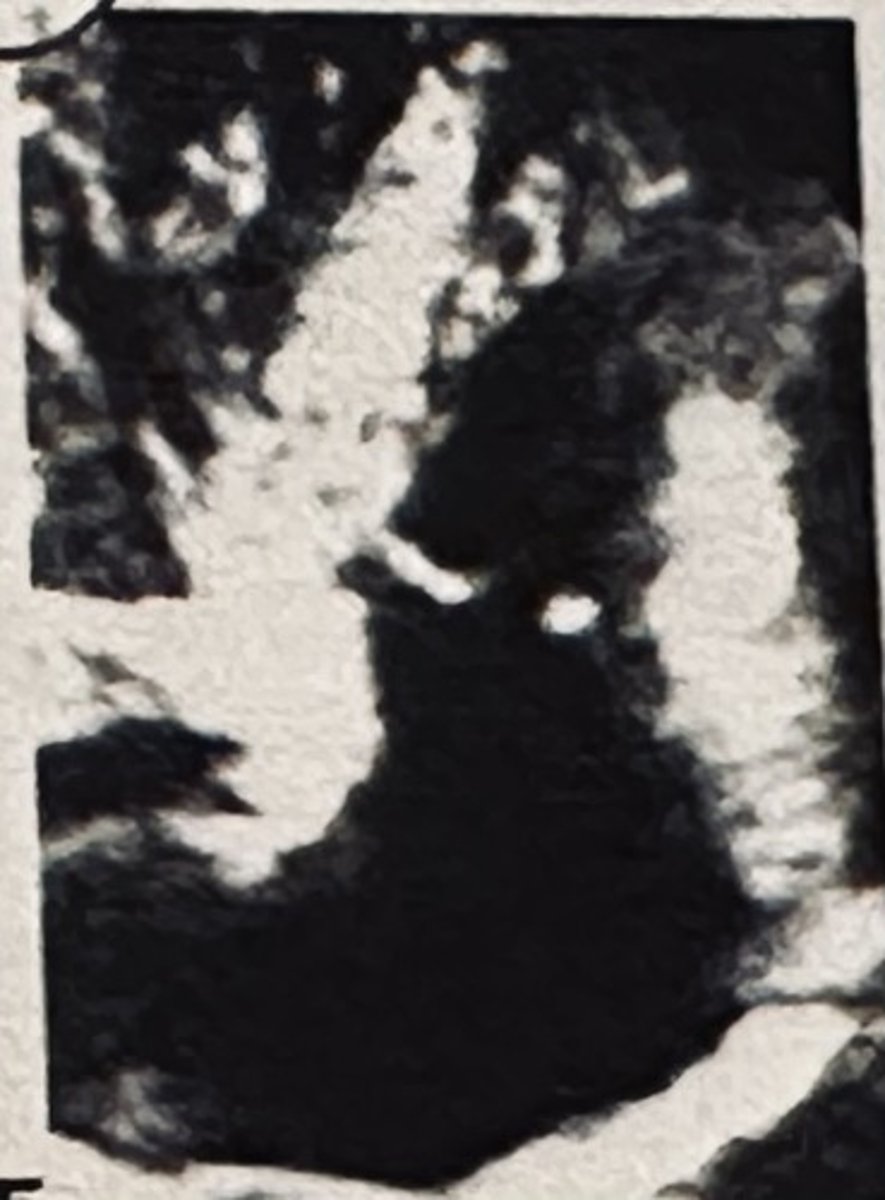 <p></p>