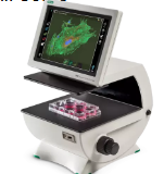 <p>What is this type of microscope </p>