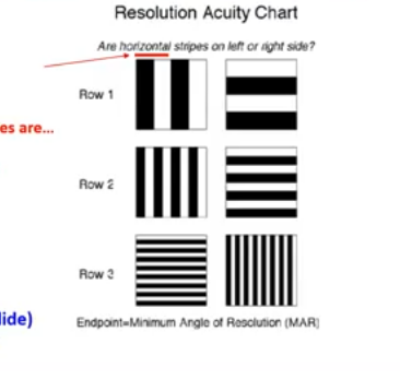 <p>resolution acuity that is measured using gratings can be specifiied in cylces per degree </p><p>one cycle: width of 1 light bar </p><p>spatial frequency is a measure of how closely spaced the lines are </p><p>low spatial frequency: row 1 </p><p>high spatial frequency: row 3 </p><p></p>