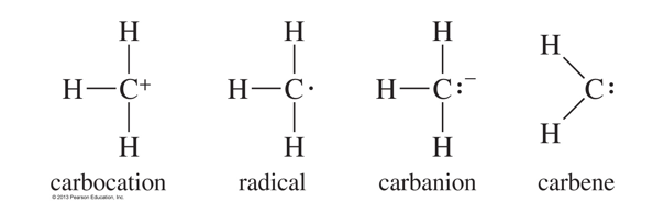 <p>carbocation, radial, carboanion, carbene</p>