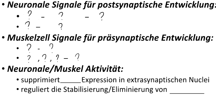 <p></p>