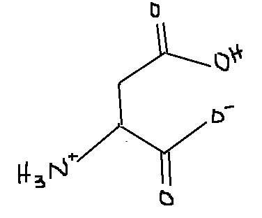<p>Which amino acid is this?</p>