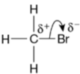 <p>Bromine is more electronegative</p>