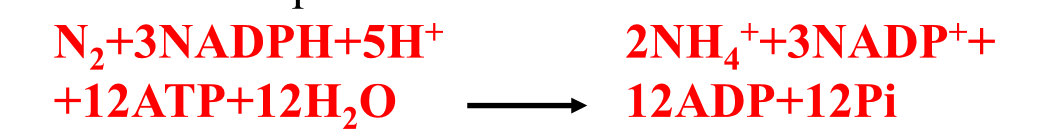 Must be anaerobic (roots)

Oxygen deactivates