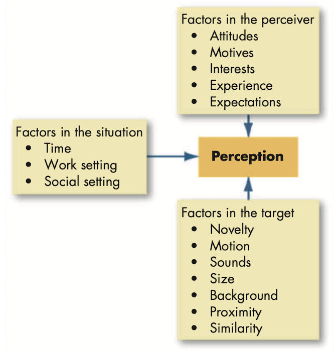 Factors that influence perception