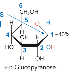<p>end group and hydroxyl opposite oxygen are trans (different sides)</p>