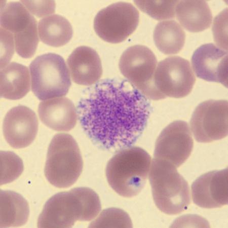 <p>What is this?</p>