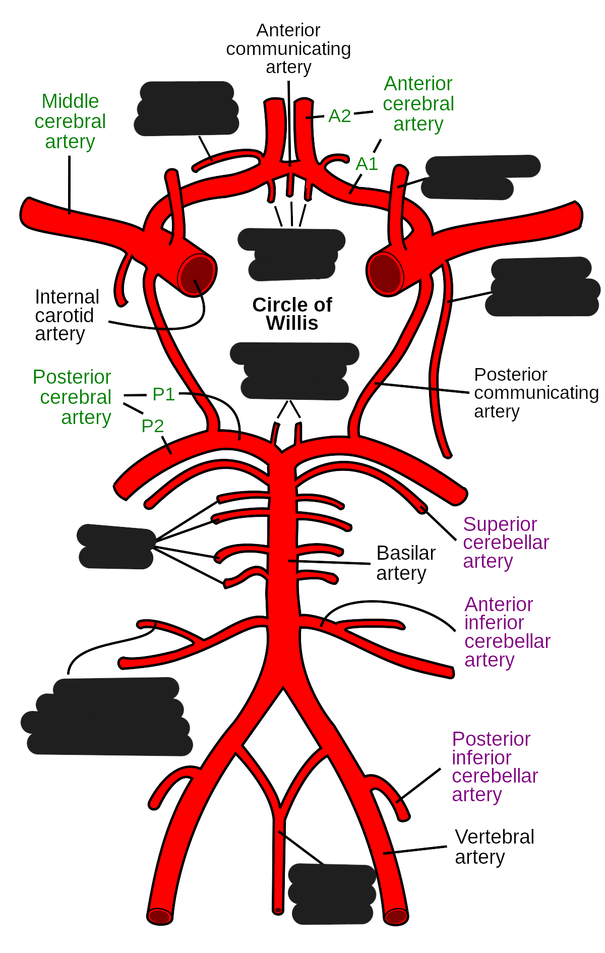 knowt flashcard image