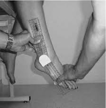 <p>Joint: Ankle Flexibility</p>