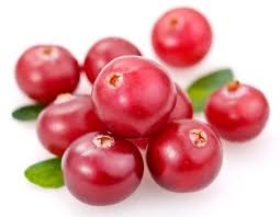 small, round, deep red-red fruits.