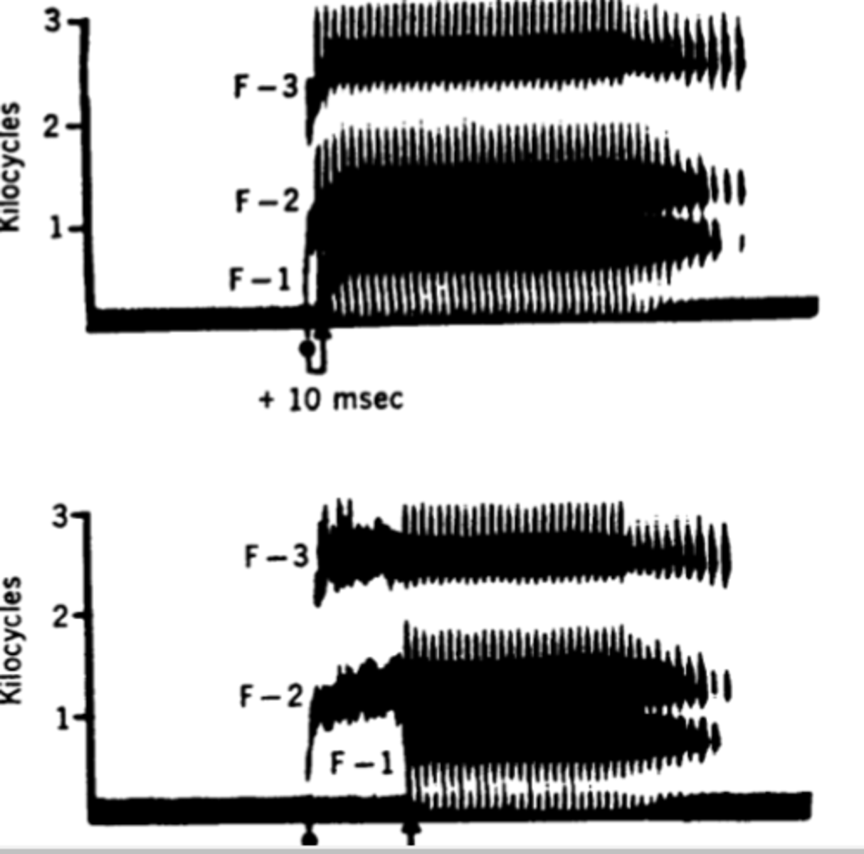 <p>the speech perception in infants, in the graph you can see a gap in time between the vocal cords moving when saying ba and pa(second graph). After the gap, that is the beginning of the vocal cords vibrating. Pa has a delay</p>