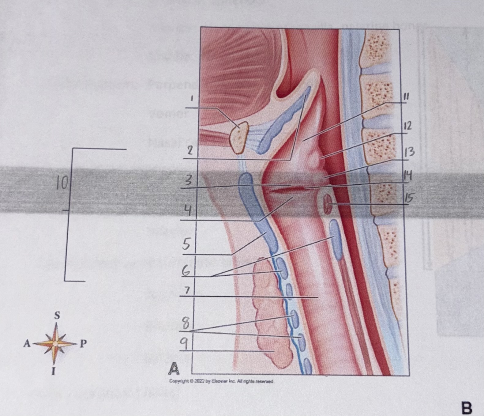 <p>what view is this showing</p>
