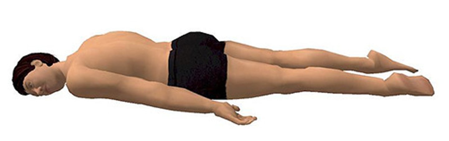 <p>Identify the body position.</p>