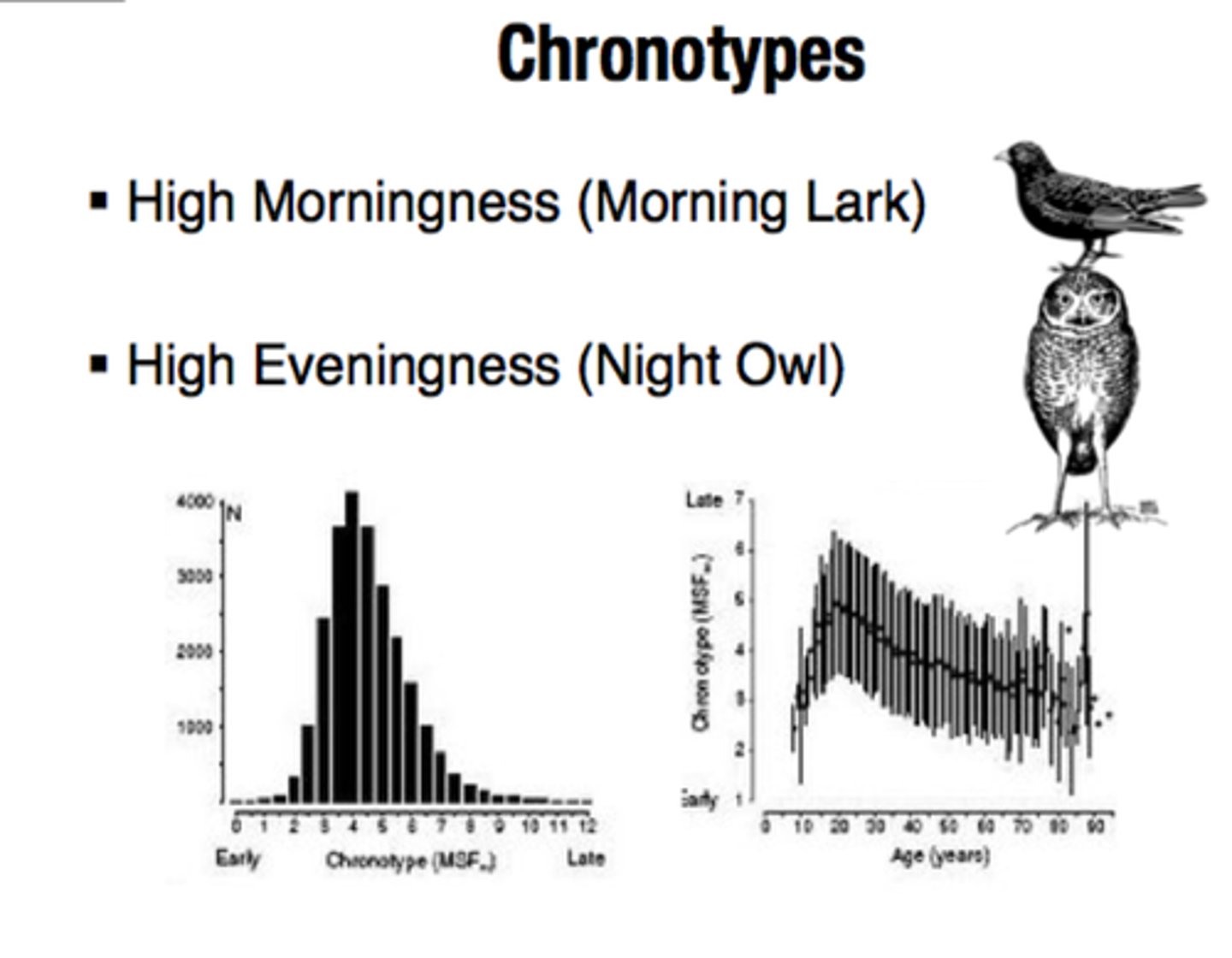 <p>individual differences in circadian preference (morning/evening).</p>