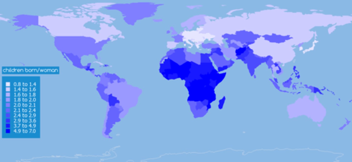 <p>The average number of children a woman will have throughout her childbearing years.</p>