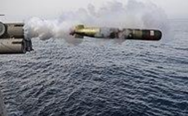 <ol><li><p>Incorporates advanced guidance system </p></li><li><p>Platforms: Cruisers and Destroyers</p></li></ol><p></p>
