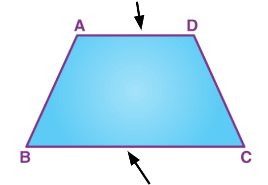 <p>The two parallel sides of a trapezoid.</p>