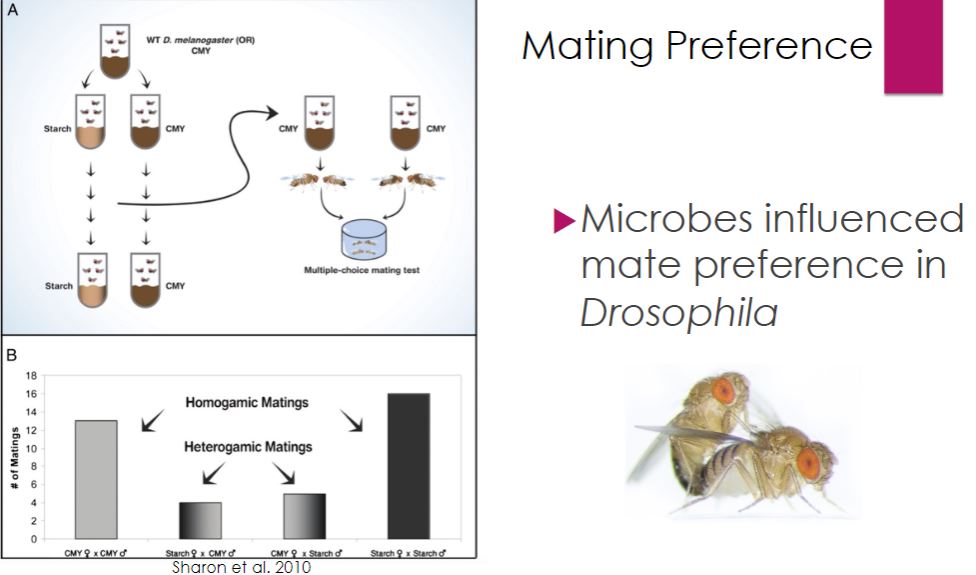 <p>Microbes influence on mating preferences.</p>