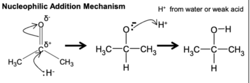 <p>nucleophilic additon:</p>