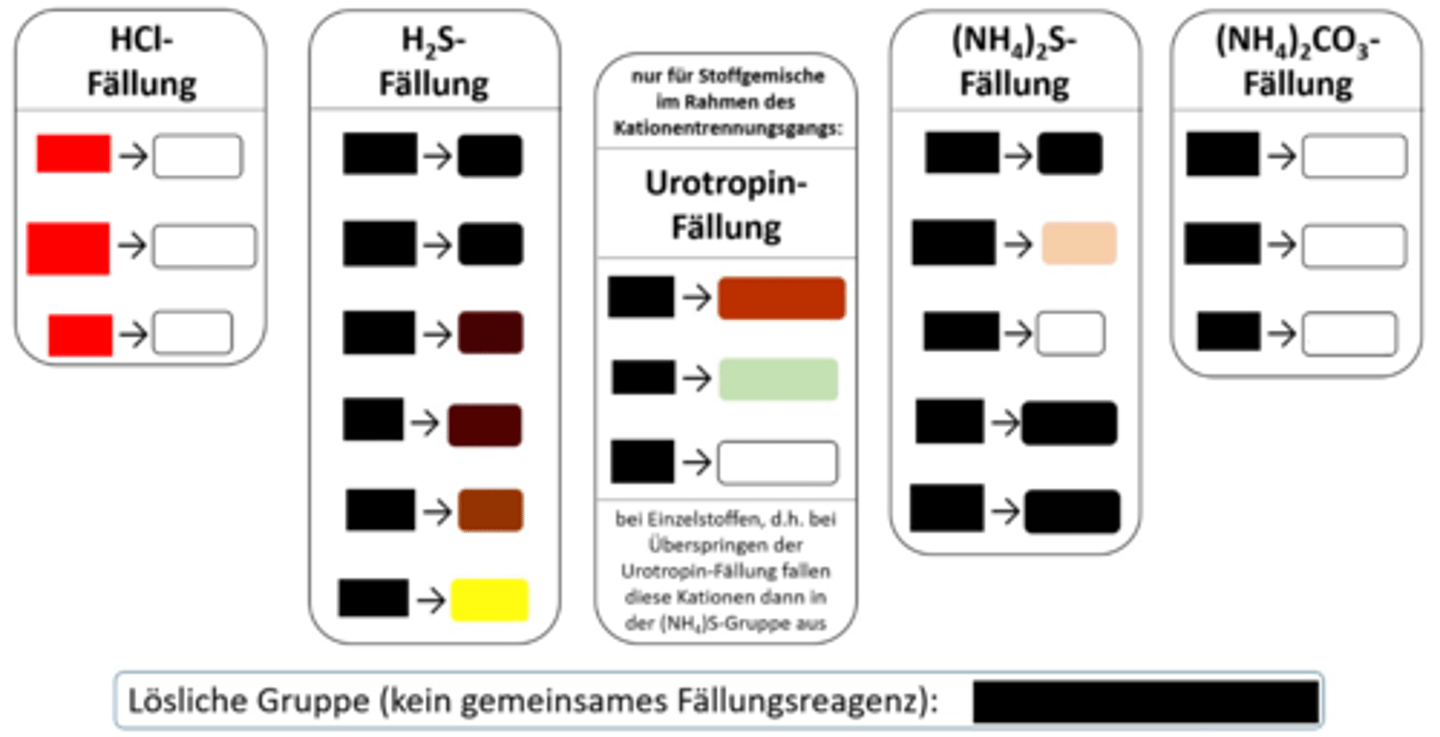 <p>HCl-Fällung, weißer NS</p>