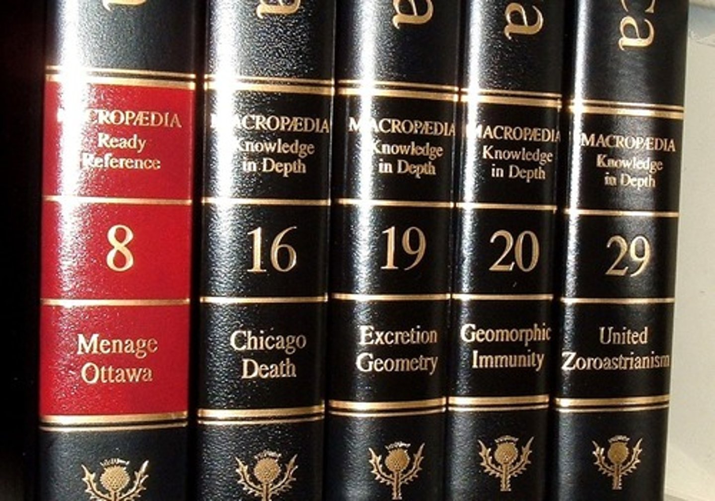 <p>book volume</p>