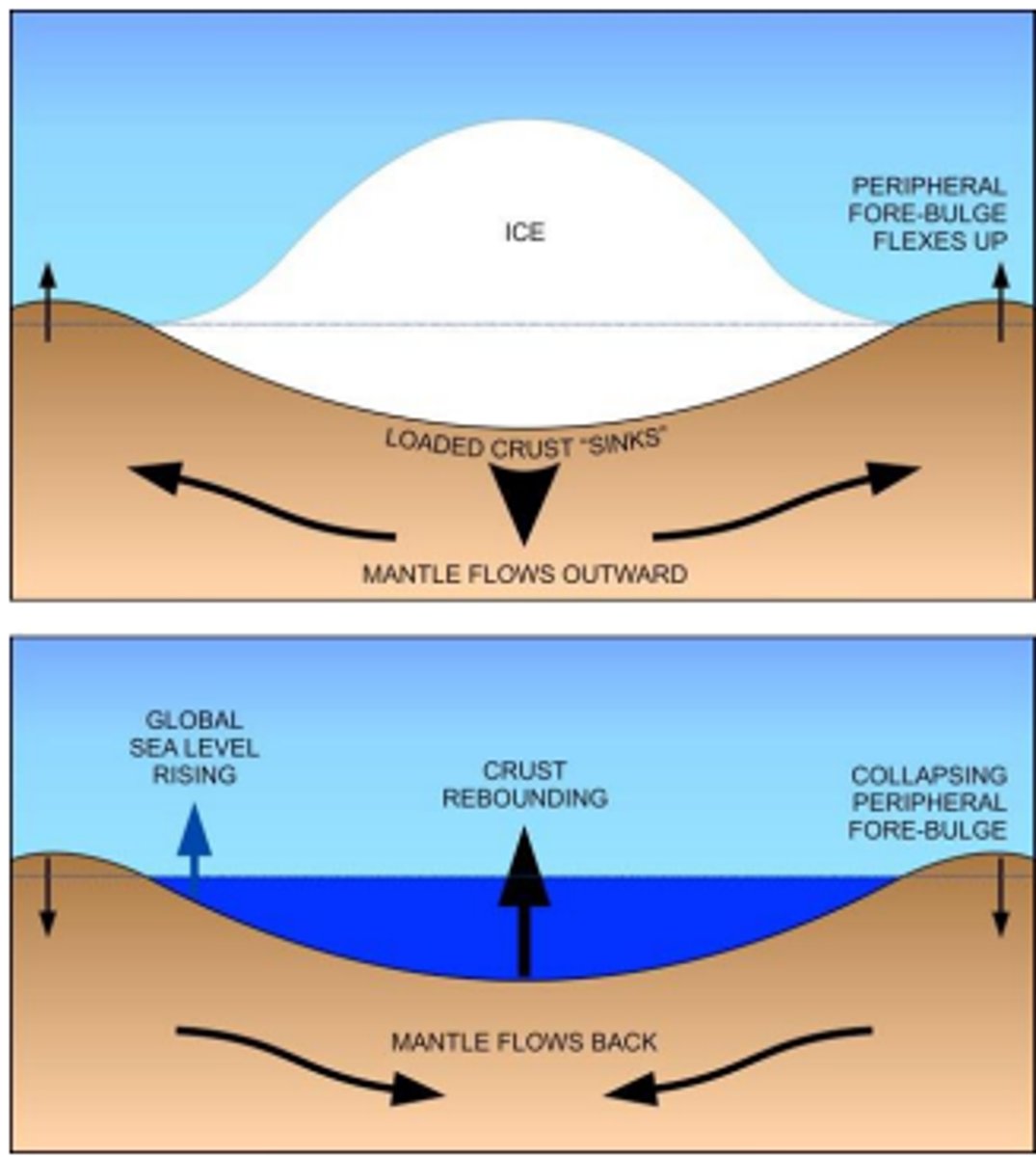 <p>Mantle flows outward when the crust sinks downward due to being crushed by a glacier, this causes peripheral bulges outside of the glacier. When the glacier recedes, the crust rebounds upward and the mantle flows back, making the sea level appear to be rising.</p>