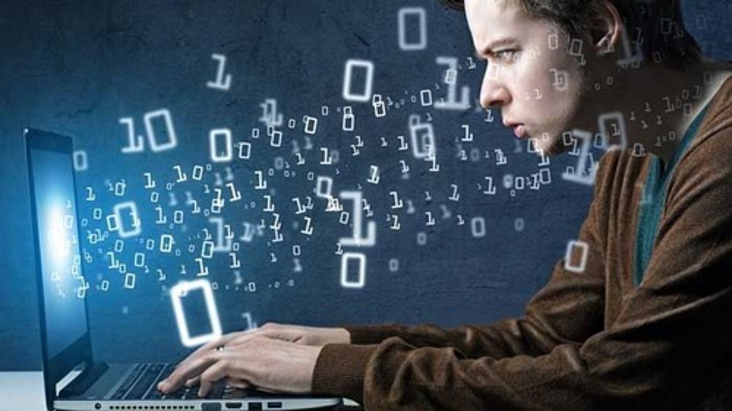 <p>a programmer</p>