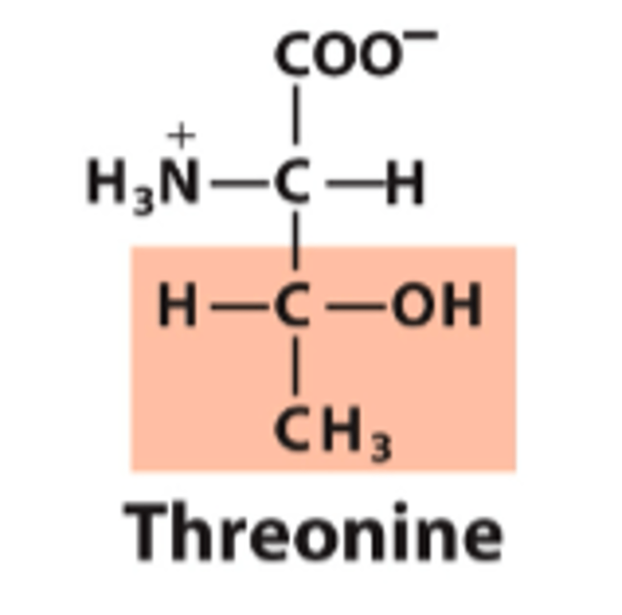 <p>What is the classification of this amino acid's R group?</p>