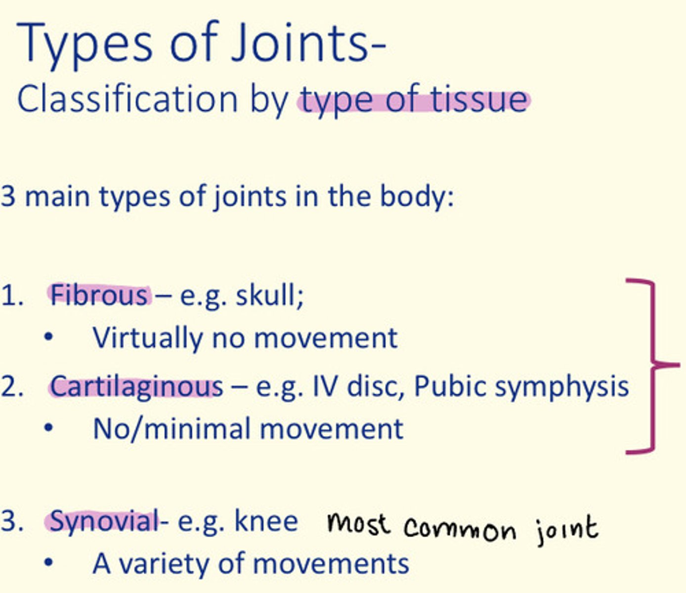 <p>Cartilaginous = e.g., IV disc, pubic symphysis (no/minimal movement)</p>