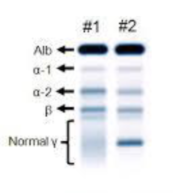 <p>technique name</p>