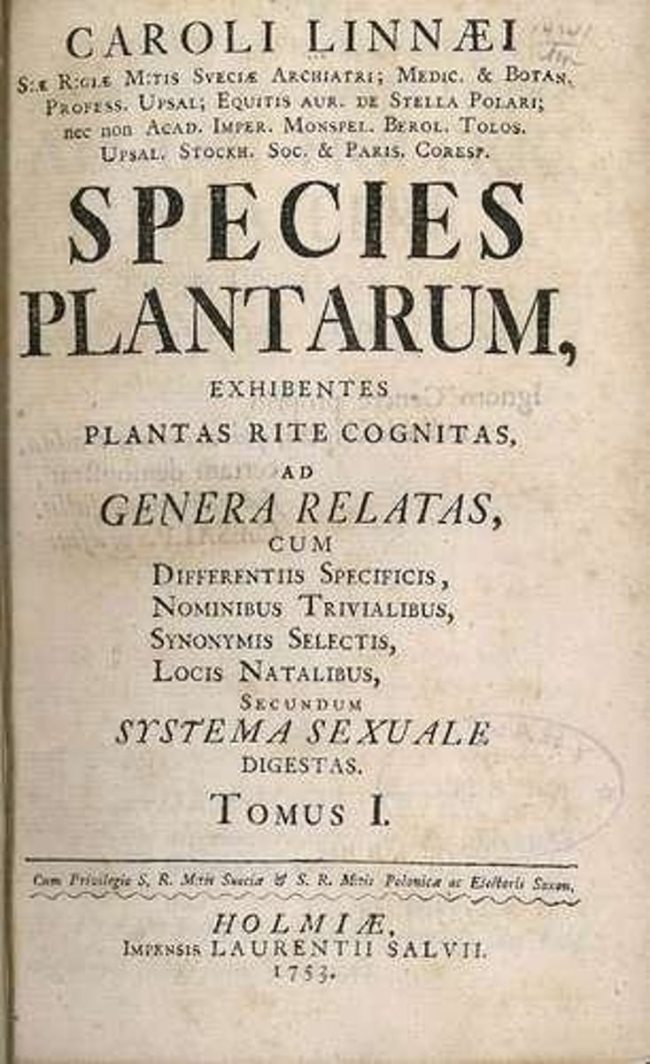 <p>Carolus Linnaeus.</p>