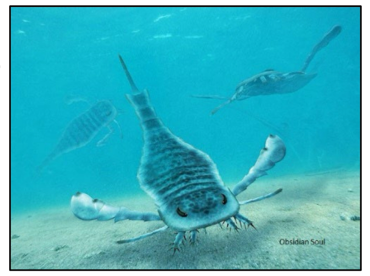 <p>What class and subclass does the giant water scorpions belong to ( subphylum Chelicerata )</p>