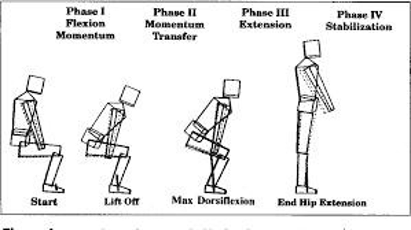<p>Weight shift/flexion momentum, momentum transfer, lift/extension, and stabilization.</p>