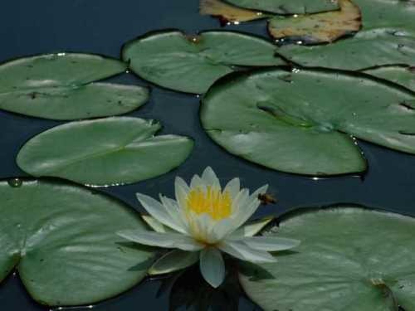 <p>The more water available, the more water that will leave through evaporation</p>