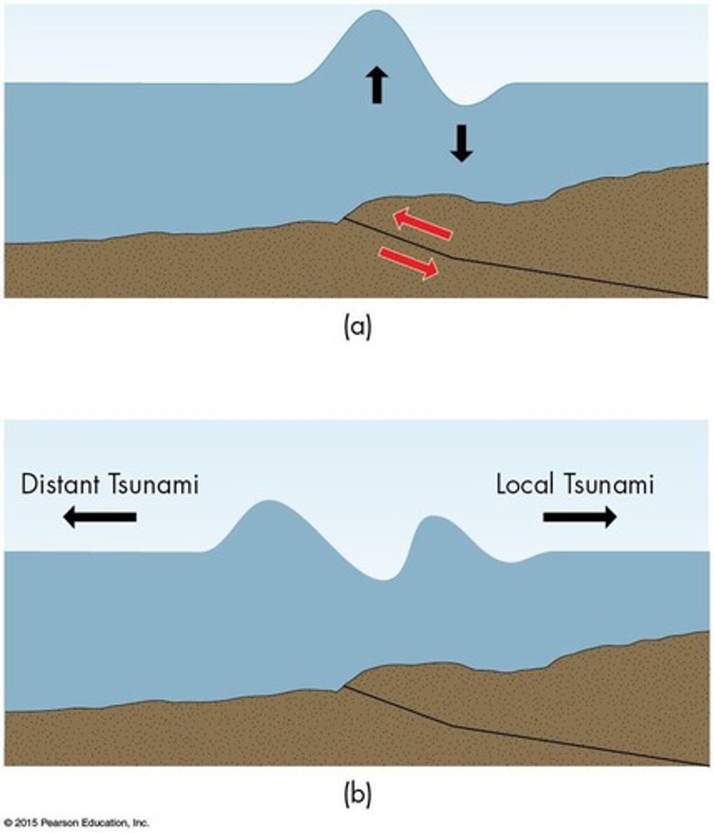 <p>System to detect and warn about tsunamis.</p>