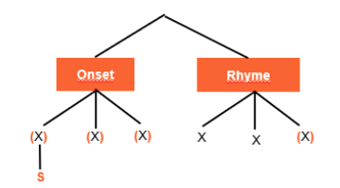 <ul><li><p>extra analyseniveau: X, begrip = X-tier</p></li><li><p>nucleus en coda niet onderscheiden</p></li></ul><p>onset: max uit 3 delen, bij woorden met 3 elementen in onset begint altijd met s </p><p>VB speel, straat</p><p>rhyme: max 3 delen, minstens 2 delen verplicht (sowieso nucleus + consonant of andere klinker)</p><p></p>