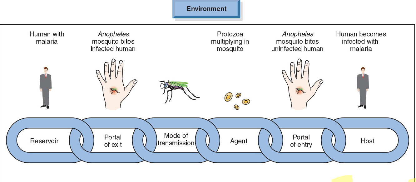 <p>Causality is the relationship between a cause and its effect.</p><ul><li><p>Chain of causation</p></li><li><p>Causation in noninfectious disease: such as cancer and diabetes: environmental exposure and potential health outcomes.</p></li><li><p>Multiple causations</p></li><li><p>Web of Casuality   </p></li></ul><p></p>