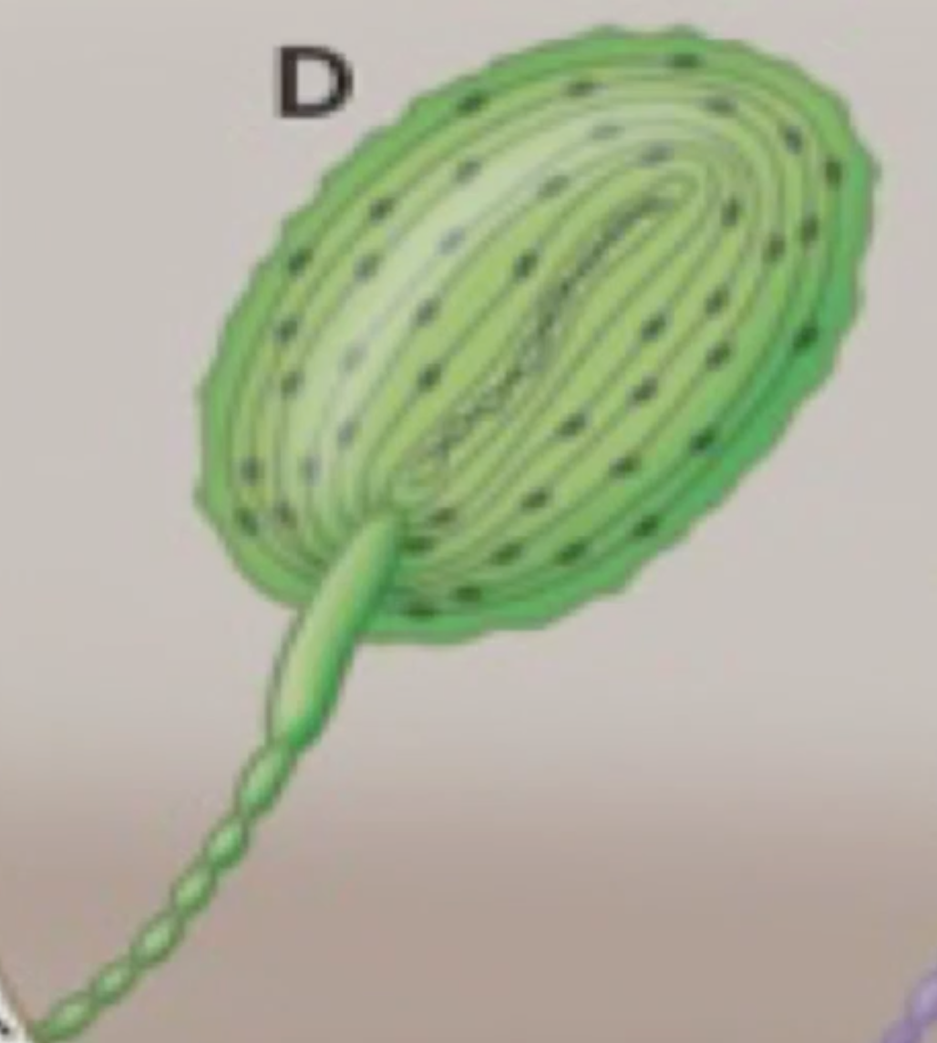 <p>What does this do and whats the name?</p>