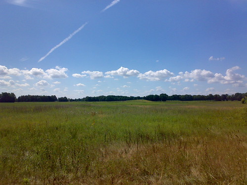 <p>flat or rolling areas of land covered with grasses If located in North America, they are called prairies. In South America they are called pampas.</p>