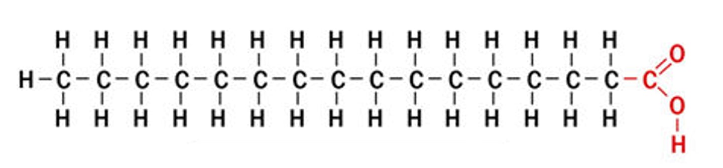 <p>Fatty acids that contain the maximum amount of hydrogen atoms as possible (only C-C single bonds)</p>